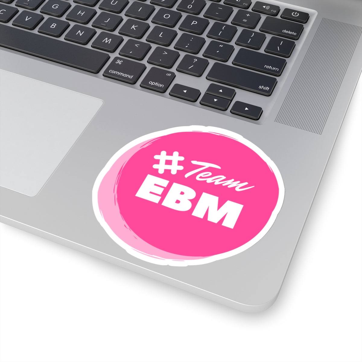 #Team EBM - Vinyl Stickers